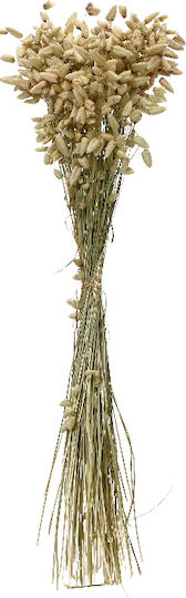 Kaemingk Dried Plant 55cm Kaemingk Dried Plant 55cm