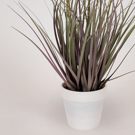 Plantă Iarbă Roz Pompon Ghiveci Plastic 36cm Pachet 4 Bucăți