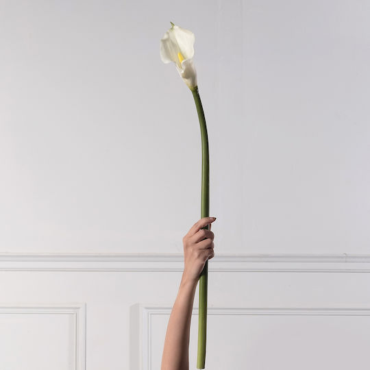 Supergreens Künstliches Kladí Kalla Weiß 96 cm 7-0302