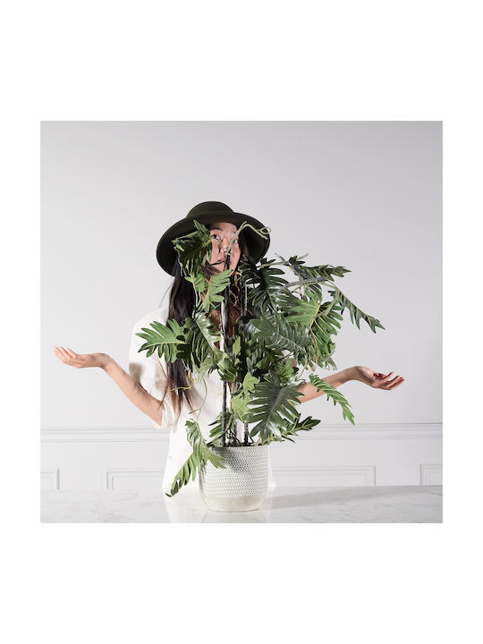 Supergreens Artificial Philodendron Xanadu Green 75 Cm 7-1615