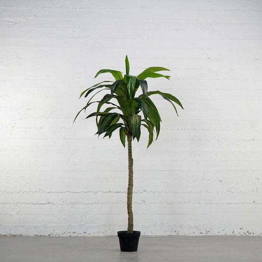 Supergreens Copac Artificial Dracaena Verde 170 Cm 6-0317