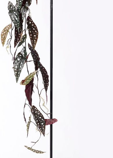 Supergreens Artificial Begonia Maculata Green Garland 120 Cm 7-1621 Supergreens Artificial Begonia Maculata Green Garland 120 Cm 7-1621
