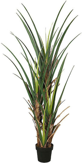 Supergreens Artificial Agatha Tree Green 180 Cm 6-0825