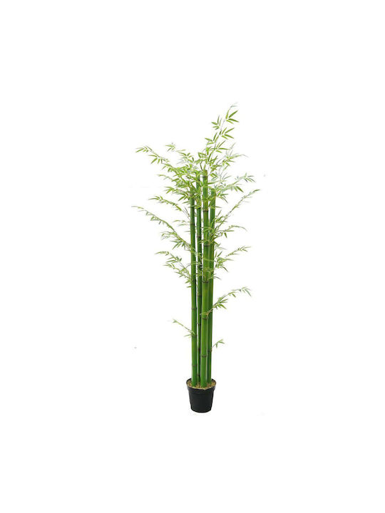 Supergreens Copac Artificial Bambus Verde Auriu 230 Cm 6-0824