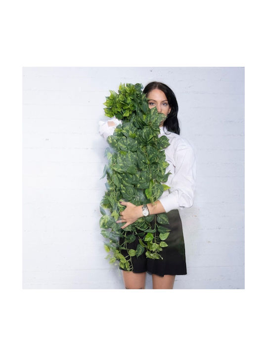 Πόθος σε Γλάστρα Supergreens Πόθος σε Γλάστρα Supergreens