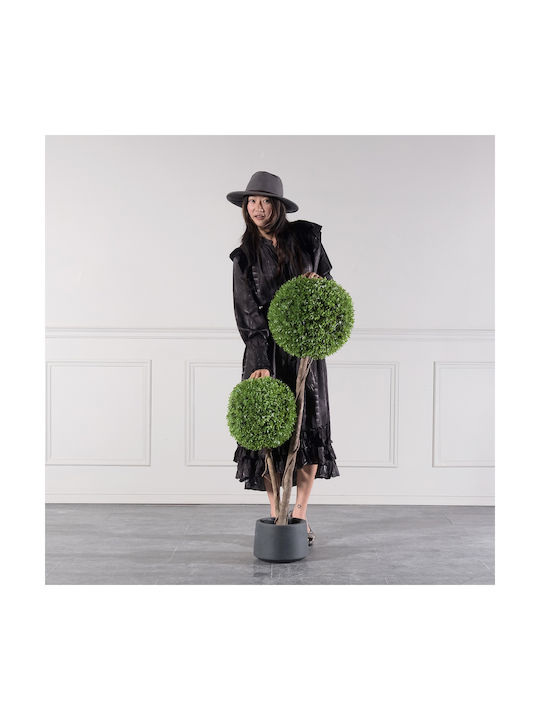 Buxus На Открито 120см Supergreens