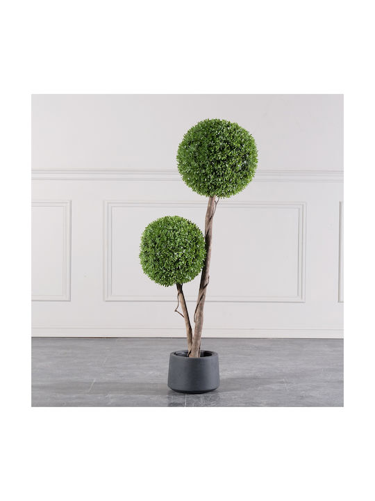 Buxus На Открито 120см Supergreens