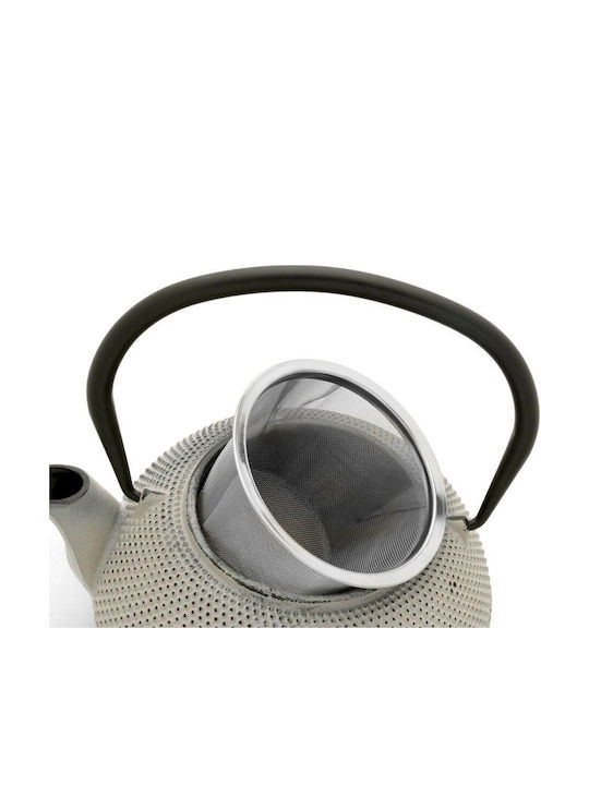 Bredemeijer Jang Teapot with Filter Cast Iron Gray 1100ml
