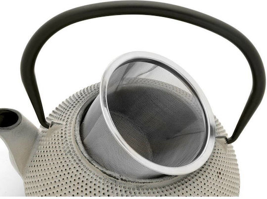 Bredemeijer Jang Teapot with Filter Cast Iron Gray 1100ml
