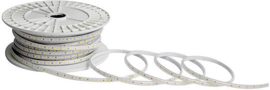 Rezistent la apă Bandă LED Smd Verde Lumină 50m Tip SMD2835