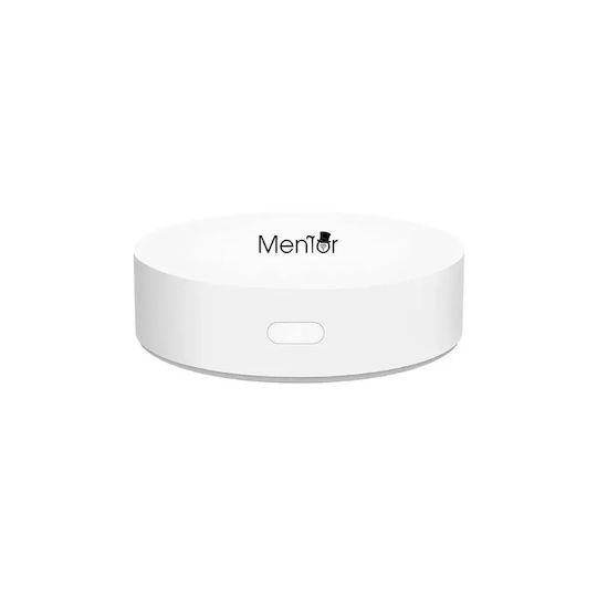 Electronică Valvă termostatică pentru radiatoare cu Wi-Fi pentru un site de comerț electronic pentru încălzirea corpului 4buc