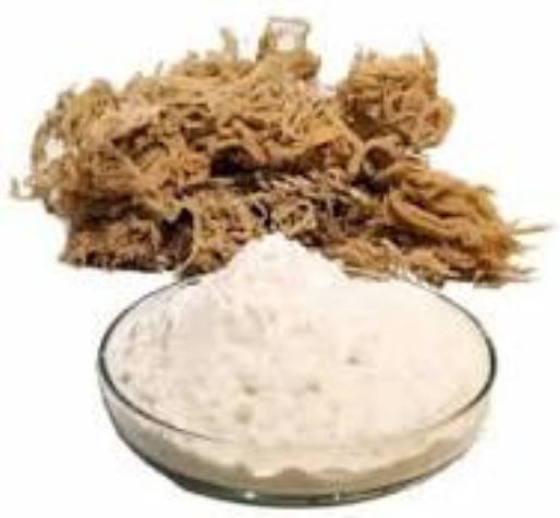 Pudră de Mușchi Irlandez Organic 60g Viogeia