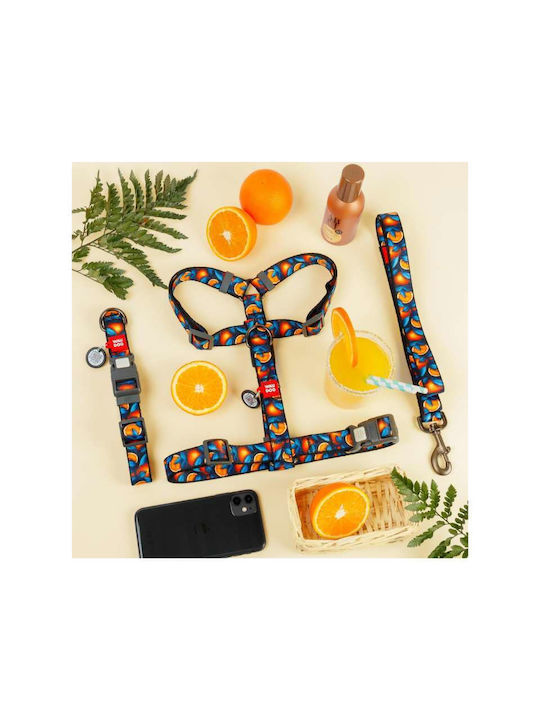 Waudog Dog-Cat Collar Smart Id Oranges Plastic Fastex Xs 10mm X 20-30cm