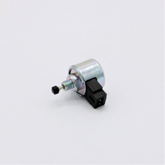 Magnetic Valve Genuine Briggs & Stratton 21r 31s 596038