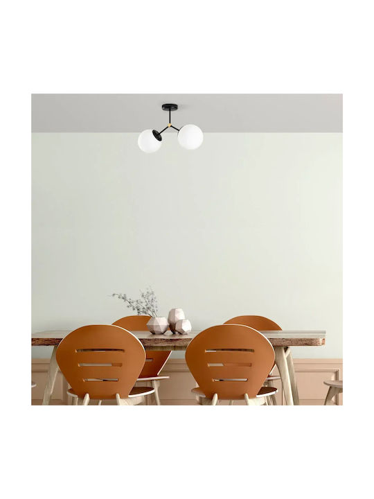 SteweHome Deckenleuchte mit Glaskugeln Modernes Design Schwarz 44x28cm
