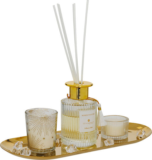 Σετ Diffuser Gladys 211717 4τμχ 100ml