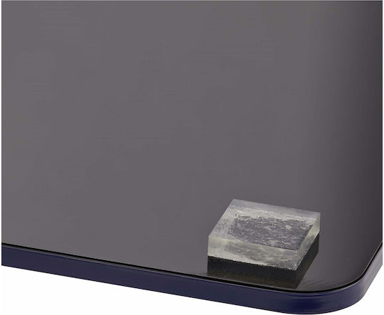 StarTech 2469A-PRIVACY-SCREEN Φίλτρο Οθόνης