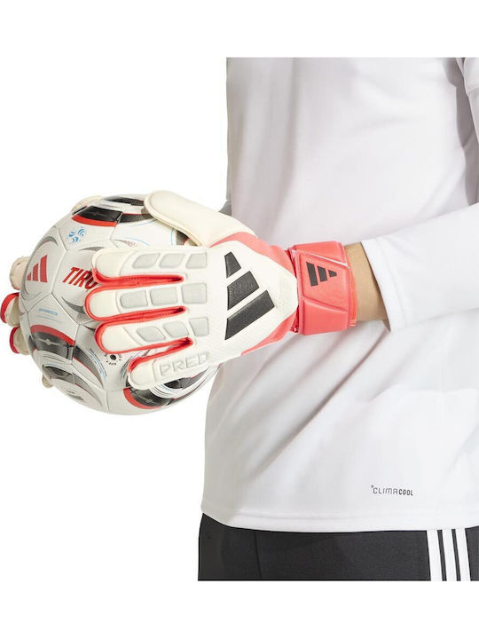 adidas Predator Match Adults Goalkeeper Gloves White