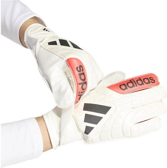 adidas Copa Γάντια Τερματοφύλακα Ενηλίκων Λευκά