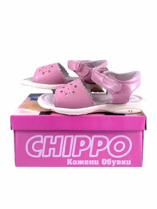 Chippo