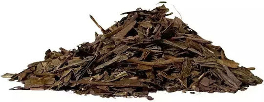 Verde Ceai Produs organic Hojicha 60 Pungi 60gr 1buc