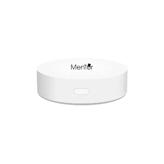 Electronică Valvă termostatică pentru radiatoare cu Wi-Fi pentru un site de comerț electronic pentru încălzirea corpului 8buc