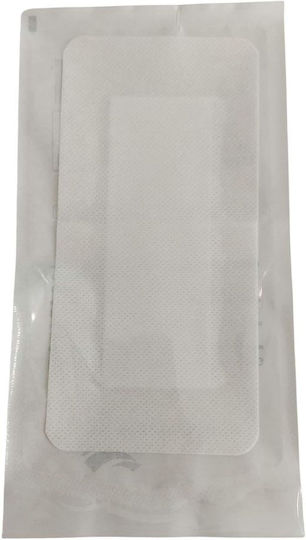 Hypoallergenic Bandages Pintomed Стерилни Медицинска газа 10x20см 25pcs
