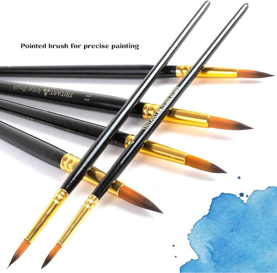Set 24 Pensule De Pictură Tritart Vârfuri Fine Păr Sintetic Perii Acuarelă Acrilic Ulei Negru