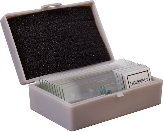 Microscope Experiment Kit K50