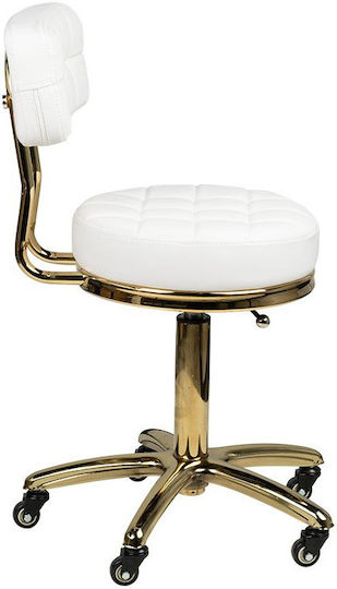 Salon Tech Wheeled Stool with Backrest Gold