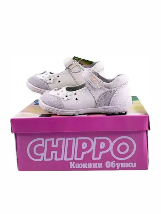 Chippo