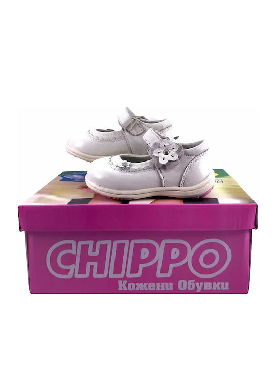 Chippo
