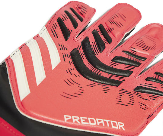 adidas Performance Pred Γάντια Τερματοφύλακα Ενηλίκων Μαύρα