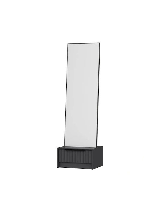 SteweHome Oglindă De Podea Cu Cadru Din Plastic Antracit 178x54cm