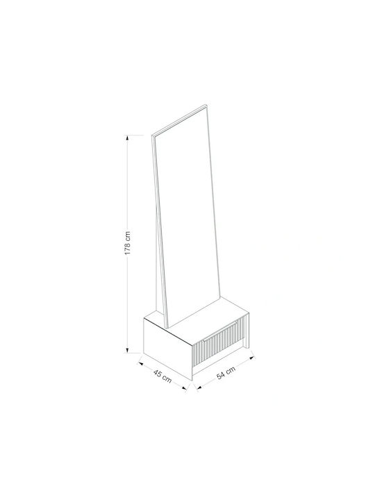 SteweHome Oglindă De Podea Cu Cadru Din Plastic Antracit 178x54cm