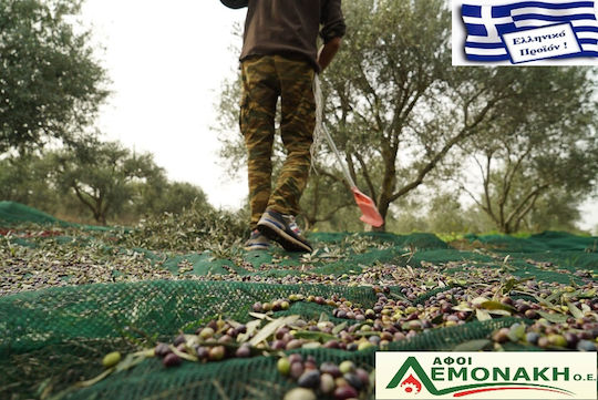 Olivenet Olive Net Extra 8x12m Density 95gr/m²
