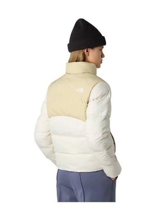 The North Face The North Face