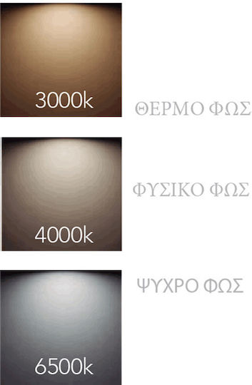 Imex Tokyo Oval Oglindă de Baie Lumini LED Atingere 50x90cm Negru
