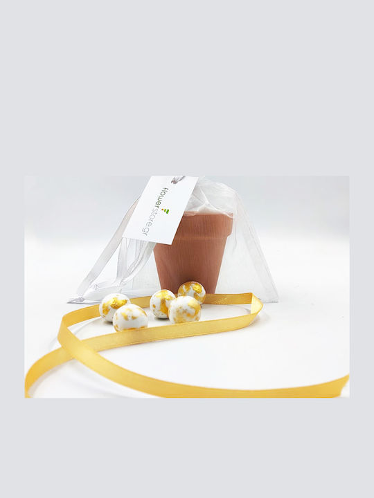 Wedding Favor Flowerpot & Edelweiss Seeds