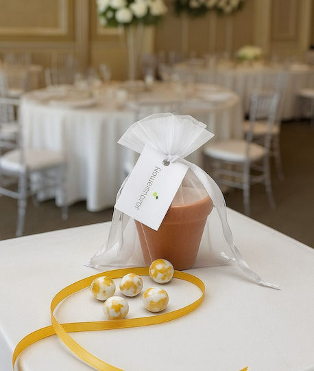 Hochzeitsgeschenke Topf & Samen Entelvay