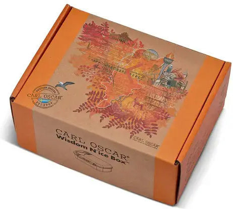 Carl Oscar Wisdom N'ice Box Plastic Kids' Food Container Orange