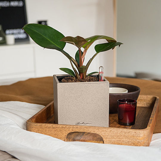 Canto with selfwatering system Pot Plastic Beige 14x14x13.5cm.