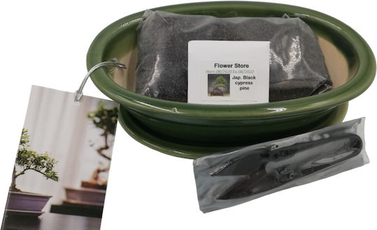 Plant Soil Bonsai Starter Gift Set – Japanese 0.2kg 87133497429