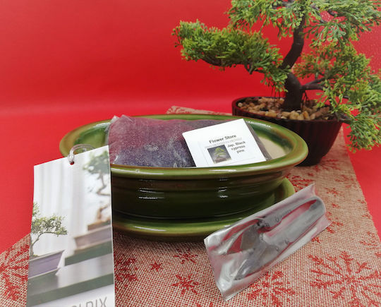 Plant Soil Bonsai Starter Gift Set – Japanese 0.2kg 87133497429