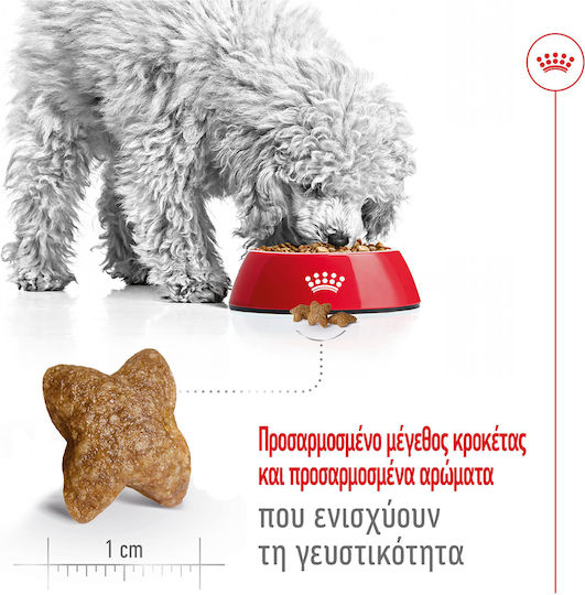Royal Canin Mini Adult 8kg Dry Food for Adult Small Breed Dogs with Poultry