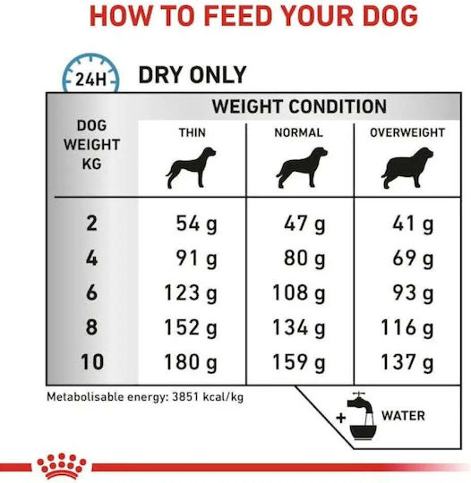 Royal Canin Anallergenic Kleine Rassen Trockenfutter für Erwachsene Hunde Mit Fleisch