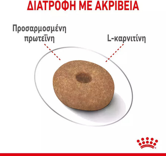Royal Canin Light Weight Care Mini 1kg Dry Food Diet for Adult Small Breed Dogs with Poultry and Rice