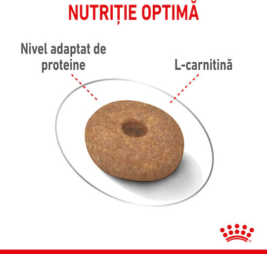 Royal Canin Light Weight Care Mini 8kg Dry Food Diet for Adult Small Breed Dogs with Poultry and Rice