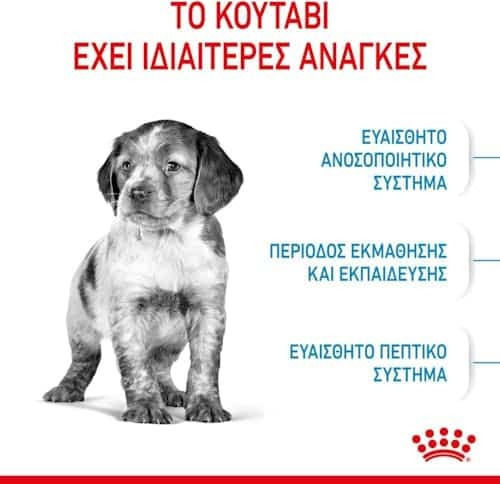 Royal Canin Puppy Medium 4kg Dry Food for Medium Breed Puppies with Poultry