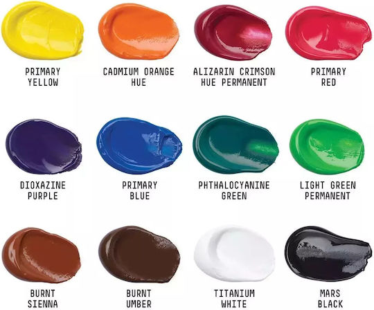 Liquitex Basics Acrylic Paint Set in Multicolour color 22ml 12pcs